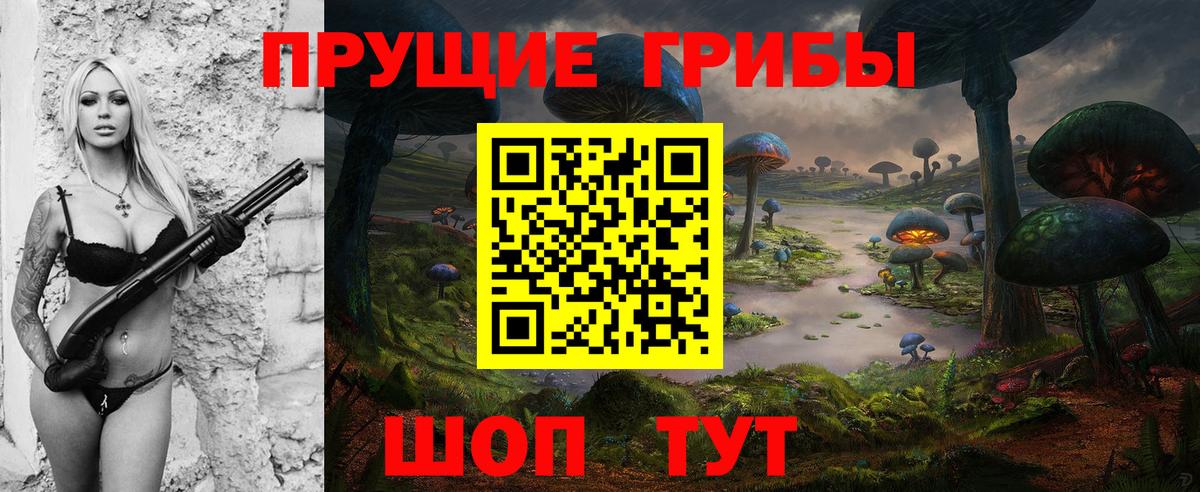 Псилоцибиновые грибы мицелий Новоалтайск